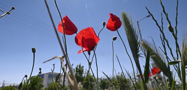 Ξεπέρασε τους 28°C το θερμόμετρο σήμερα στα Τρίκαλα 